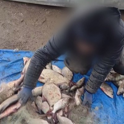 Мужчина просто пошел на рыбалку: дальше случилось страшное