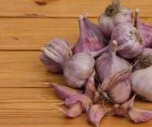 Ученые рассказали, что чеснок делает с организмом — партнерский материал